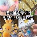 꽃채운 천아트 | 동묘역 문구완구시장은 왁뿌볼이 먹여살리는중.. 일요일 방문후기