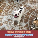 덕진-29 이미지