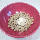 닥터캐닌 이미지