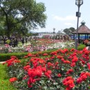 섬진강나루 이미지