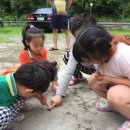 와라캠핑장 이미지