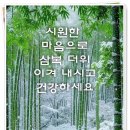 맥심 화보집 이미지