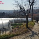 분당-187 이미지