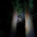 여송목재 이미지