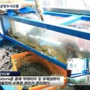 생생수족관