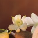 힐링여성사우나 이미지