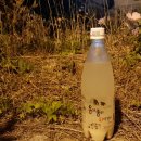 태화강생막걸리 이미지