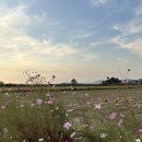 해넘이마을 | 서해 석양 명소, 장화리 해넘이마을