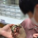 알곡어린이집 | 여행/나들이/일산] 킨텍스에서 만나는 살아있는 곤충의 세계, 옐로우 지브라 킨텍스곤충박물관 방문 후기