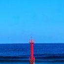 이상심리학 이미지