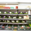 부자정식 이미지