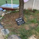 펠리스빼로 이미지