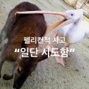 (주)동효 | 종강=천국
