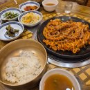 세종삼복낙지 | 세종낙지볶음 세종삼복낙지 싱싱한 세종낙지요리 감칠맛낙지볶음 나성동맛집