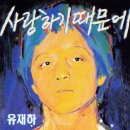 과일향기
