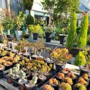 북유성대로(유성-28) 이미지