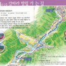 효석문학100리길 제3구간 이미지