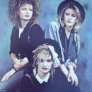 kiss My Dog 이미지