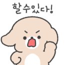 조나단 민박 이미지