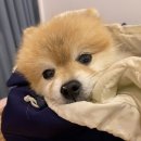 서운체육공원 이미지
