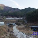 보현산 약초마을 이미지