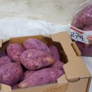 아침빵 스튜디오 이미지