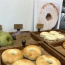올웨이즈24 | 마곡나루 샌드위치 베이글 맛집 올웨이즈 베이글 내돈내산 후기
