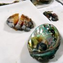 해운대초장 이미지