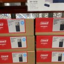 헤스티아 플렉스 이미지