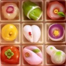 시요 이미지