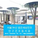 밝은세상 이미지