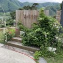 홀리가든 네이버블로그