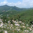 두메영농조합법인 이미지