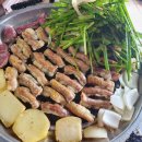 디카활용 주말 이미지