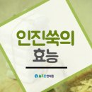 늘푸른동산한의원 이미지