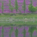 신대호수 이미지