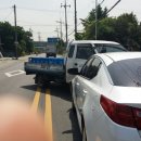 국민돼지 이미지