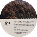 달성습지 생태 학습관 이미지