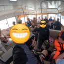 월드대박 | 몰디브 신혼여행 #10] 몰디브 시암월드 액티비티 거북이스노쿨링 돌고래투어 생생후기!