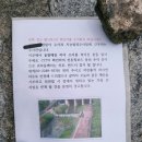 오리와사람들 이미지