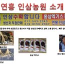 연흥농장 이미지