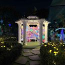 남부순환로328길 49 (4)_ | [경기도 과천시] 서울랜드 - 소형견만 · 이동장/유모차 사용 · 목줄 착용 · 배변봉투 지참