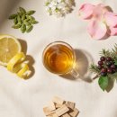 여행하는 나무 | 떠나지 않아도 여행하는 기분 — 에르메스 보야지 데르메스 솔직 후기