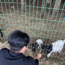 금복식당 이미지