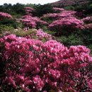 강남노인종합복지관 이미지