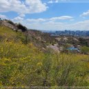 진달래어린이공원 화장실 이미지