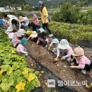 시니어영농사업단