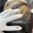 (주)더세종 이미지