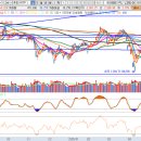 대호바이오메드 이미지