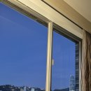 단감약국 | Hong Kong city I can't stop🎶🇭🇰 2박3일 홍콩 Day 3